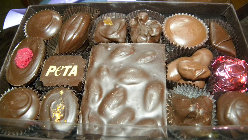 Illustration for article titled PETA Sends Me Vegan Chocolates For Not Kicking My Cats